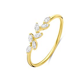 ring zirkonia
