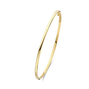 bangle dop ovale buis 2,4 mm 60 x 52 mm